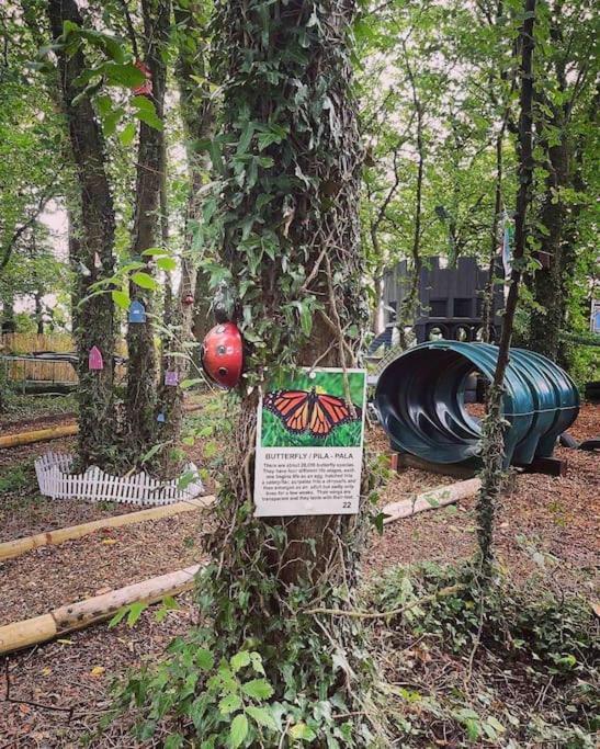 Willa Y Boidy Bach Llangranog Zewnętrze zdjęcie